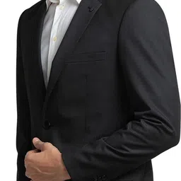 raymond Men 2 Pcs Suit Solid Suit image 3