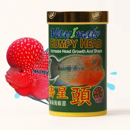 vayinato Ocean Free XO Humpy Head (Original) Fish Food, 280ML/100G For Flowerhorn Fish Fish 0.1 kg Dry Adult, Senior, Young Fish Food-picture-27