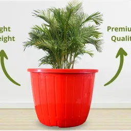 snshopee Heavy Duty 10 inch dia. Vase Planters Flower Pots Plant Container Set image 2