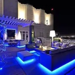 peafowl wholesale 1200 LEDs 10 m Blue Color Changing Strip Rice Lights image 3