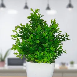 kavyasolutions 2D+2M+2P Multicolor Wild Flower Artificial Flower with Pot image 5