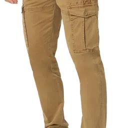 spykar Men Cargos image 3