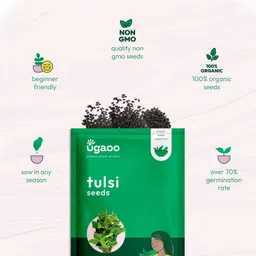 ugaoo Tulsi Herb Seed image 4