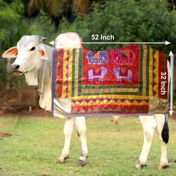 aagaaz Dress for Cow image 4