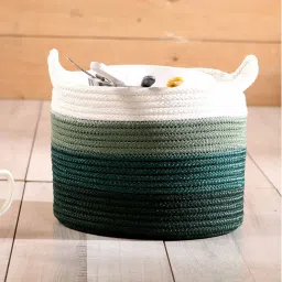 pano Green Polypropylene 52 Ltr (1Pc) Storage Basket image 1