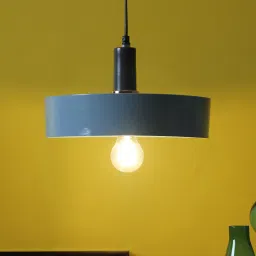 casacraft from pepperfry Malisa Donte Grey Metal Hanging Light image 1