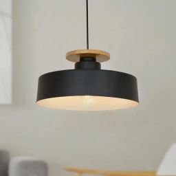 fos lighting White Mild Steel Globe Hanging Light-picture-19