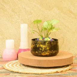 sone key chidiya Archie Iron Multicolour Desk Pot-picture-26