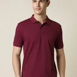 Allen Solly Polo Collar Pure Cotton Regular Fit T-shirt-picture-13