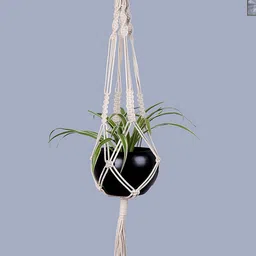 Homesake Black & Off-White Macrame Hanging Planter With Pot-image-49
