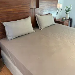 bells & whistles Mocha 100% Cotton Sateen Plain Double Brew Bedsheet with 2 Pillow Covers (Spring Summer 2025 Collection)-picture-37