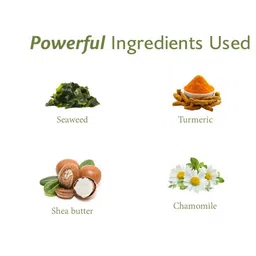 Inveda Set Of 6 Bio White Treatment Facial Kit for Brightening & Tightening - 100ml Each image 2