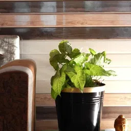 ecofynd Black 3 Pieces Round Large Metal Planter Pot-image-21