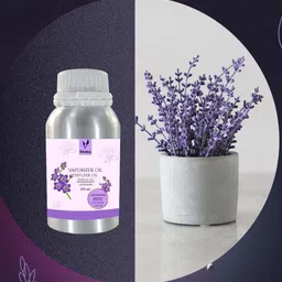 Veena 100 ml Aroma Oil Diffuser for Home Fragrance, Vaporizer Oil Ready to Use, Refill Office, Garden, Bathroom, Yoga Fragrance Diffuser Diffuser image 3