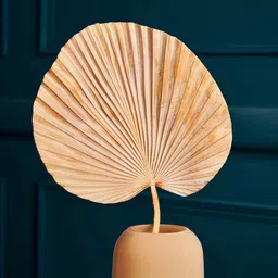 Pure Home and Living  Brown Solid Palm Leaf Artificial Flowers and Plants image 5