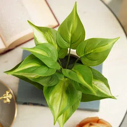 Pure Home and Living Green Artificial Plants With Pot image 4