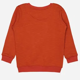 Bodycare Kids Boys Graphic Printed Fleece Pullover Sweatshirt image 3