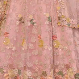 ODETTE Sequinned Embroidered Semi-Stitched Net Lehenga & Unstitched Blouse With Dupatta image 4