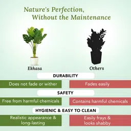 Ekhasa Green 1 Pieces Fig Artificial Plant With Pot image 4