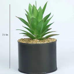 casacraft from pepperfry Polyester Dark Green Elegant Succulent With Metal Pot Artificial Plants image 3
