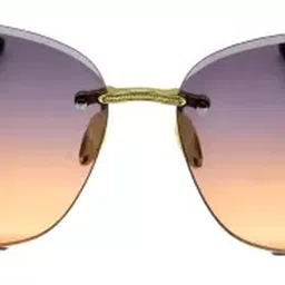 rich club UV Protection Butterfly Sunglasses (58) image 2