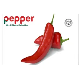 Signature Lime Green & Black Floral 160 TC Cotton Queen Bedsheet with 2 Pillow Covers image 5