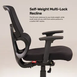 durian Vestra Mesh, Fabric Office Executive Chair image 4