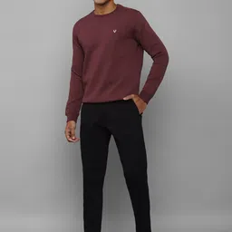 Allen Solly Men Purple Solid Full Sleeves Pullover Sweatshirt image 5