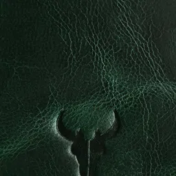 NAPA HIDE Men Green Textured Two Fold Wallet image 3