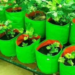 mashki 6" x6" Garden Green HPDE Growbags, Pack of 5 Grow Bags for Home Gardening Grow Bag image 3