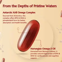 WishNew Wellness KRILL OMEGA COMPLEX, 60 Softgel Capsules | Full-Spectrum Heart & Brain Health Formula | Serving Size: 2 Softgels Daily image 5