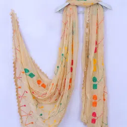 xpant Chiffon Embroidered Beige Women Dupatta-picture-22