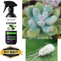 lofiyan Mealy Magic Plant Protection Spray Fertilizer-picture-24