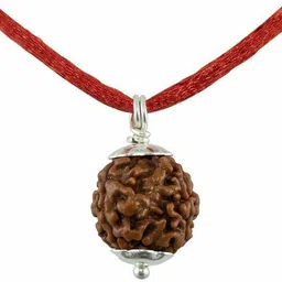 Original 3 Mukhi Nepali Rudraksha Three Face Rudraksh Metal Capped Wood Pendant-image-2