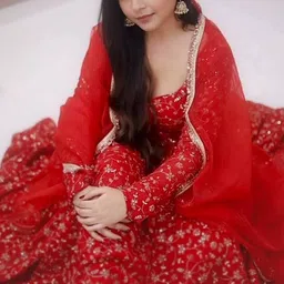 thebestbuyers Georgette Stitched Anarkali Gown image 5