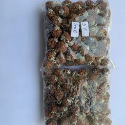 5 Mukhi Nepali Rudraksha Pendant (Set Of 200) Silver Brass Pendant-image-26