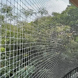 i geon AntiBird Net / Net 10 Ft. x 6 Ft.(60 SQ.Ft.)Nylon Net For Balcony/ Camping Net-picture-36