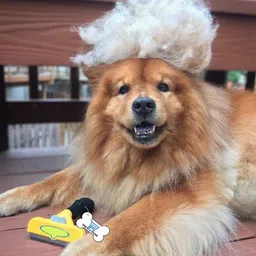 furminator Deshedding Comb Tool for Breeds of Dogs (Short Hair, Medium)-Color May Vary Shedding Blade for Dog, Cat, Hamster, Guinea Pig, Rabbit, Mouse image 2