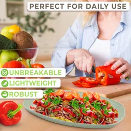 srdi Wheat Straw Lunch & Dinner Plates, Reusable, Degradable, BPA-Free & Lightweight Dinner Plate image 3