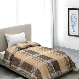 Bromwick Beige & Brown Printed 250 TC DuvetCover-image-12