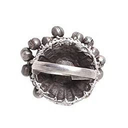 TEEJH Oxidised Silver-Plated Ghungroo Beaded Jewellery Set image 4