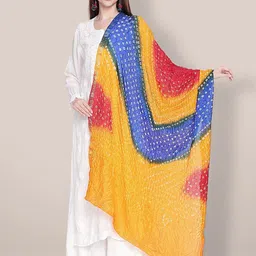 Dupatta Bazaar Dyed Bandhani Dupatta-picture-26