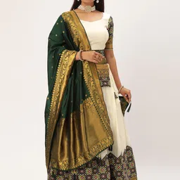 Fabcartz Zari Unstitched Lehenga & Blouse With Dupatta-picture-26
