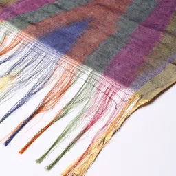 Souchii Woven Design Ikat Dupatta image 3