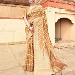 elora Chevron Woven Design Zari Ikkat Saree-picture-38