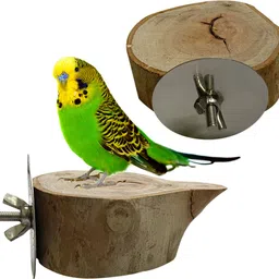 congo natural parrot treat Eucalyptus Pack of 2 Chewable Platform Wooden Tough Toy For Bird-picture-28