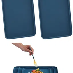 sugaalsu 25cm Wheat Straw Tray Set, Unbreakable Lightweight Dinner Dishes for Restauran Tray image 1