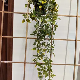 paperi Hanging Plant - green pack of 1 Bonsai Artificial Plant with Pot image 2