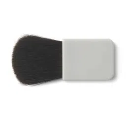 muji Case Cheek Brush-picture-51