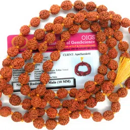 apnisanskriti Lab Certified 5 Mukhi Rudraksha Mala for Jaap ( Big Bead Size, 108+1 Beads) Wood Chain-picture-10